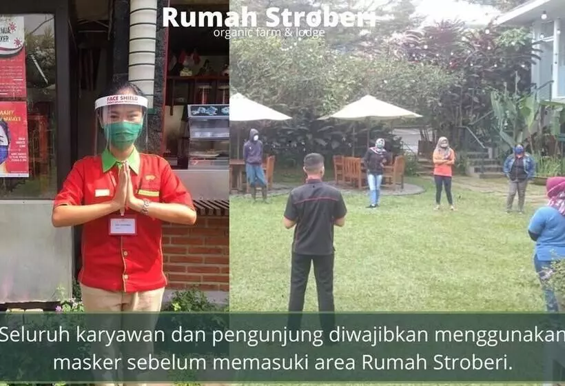 Hotelli Rumah Stroberi Organic Farm And Lodge
