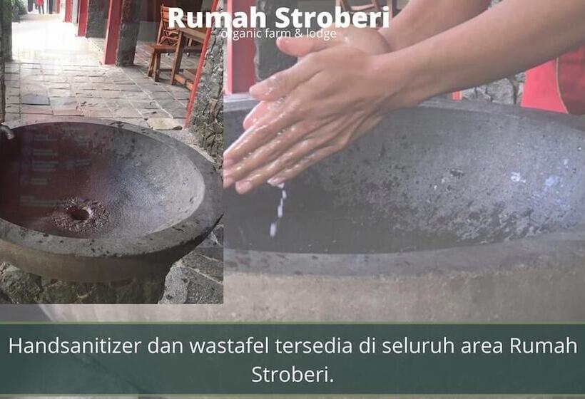 בית מלון כפרי Rumah Stroberi Organic Farm And Lodge