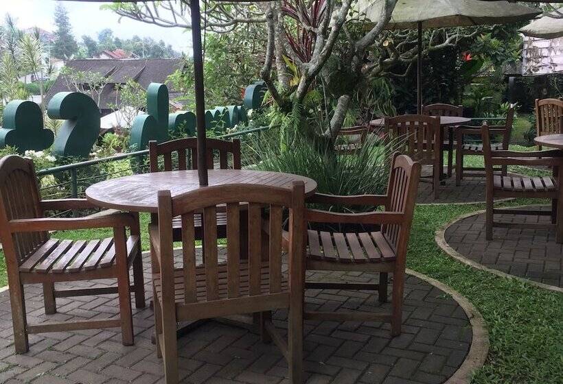 בית מלון כפרי Rumah Stroberi Organic Farm And Lodge