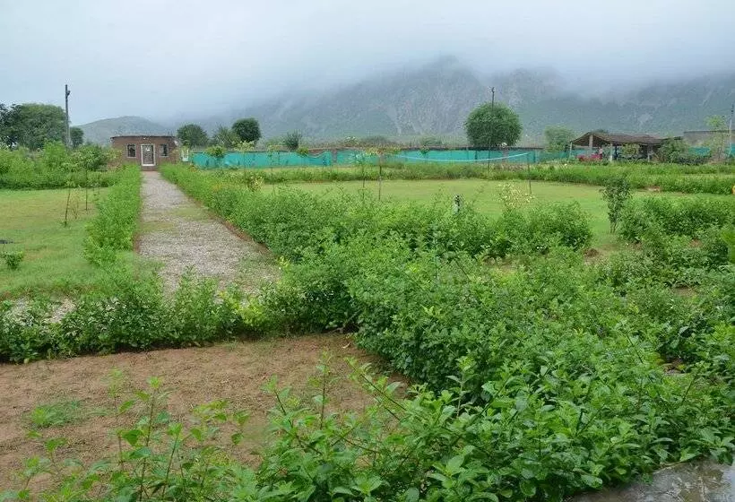 ホテル The Tiger Hill Sariska Resort