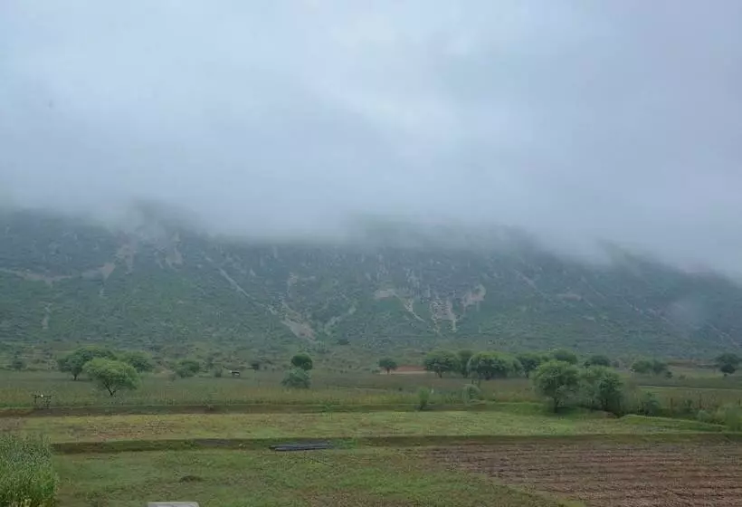 ホテル The Tiger Hill Sariska Resort