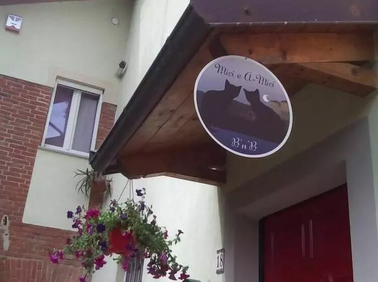 Mici E A Mici B&b