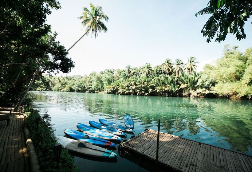 Pensjonat Fox & The Firefly Cottages