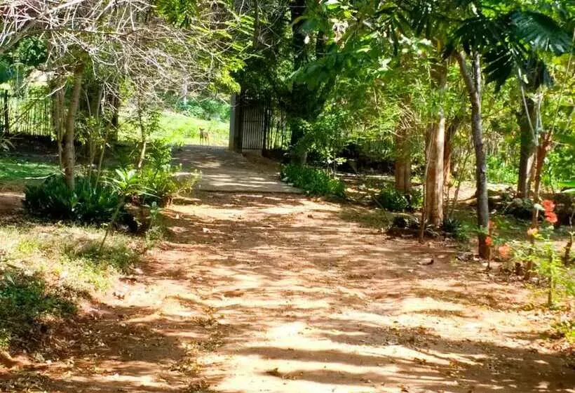 ペンション Yoho Lavonrich Bungalow