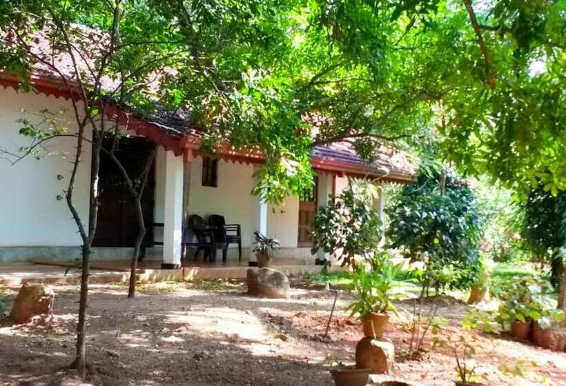 פנסיון Yoho Lavonrich Bungalow