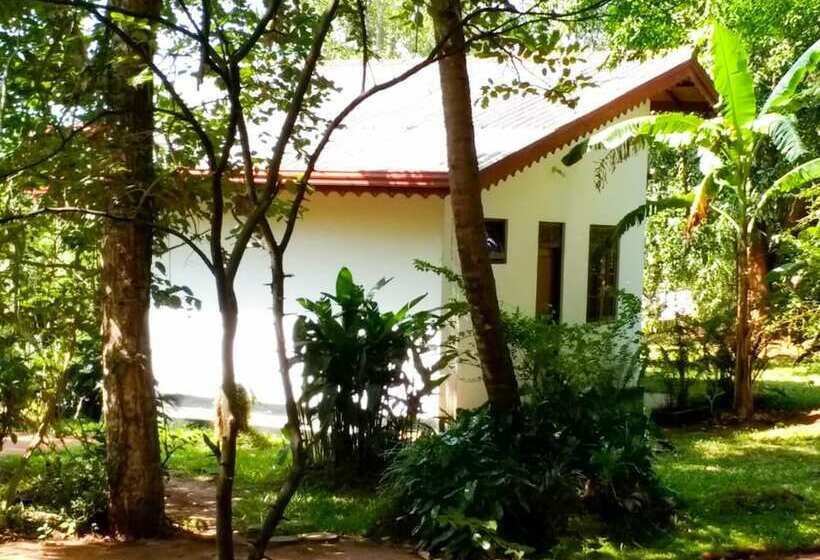 פנסיון Yoho Lavonrich Bungalow