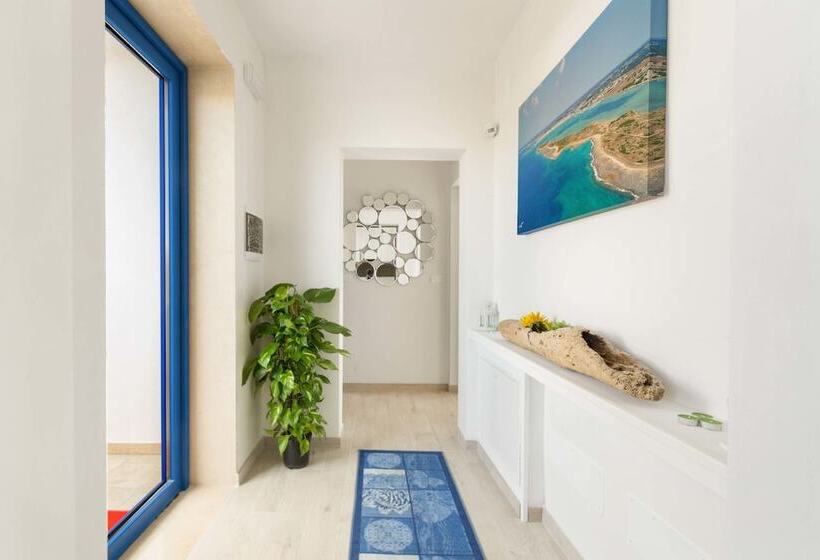 B&b Dreams And Delights