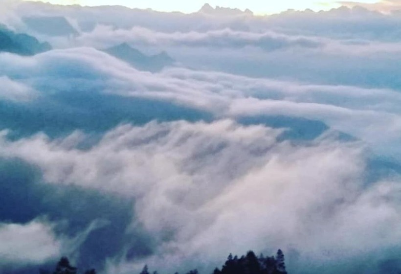 צימר Munnar Jungle Camp