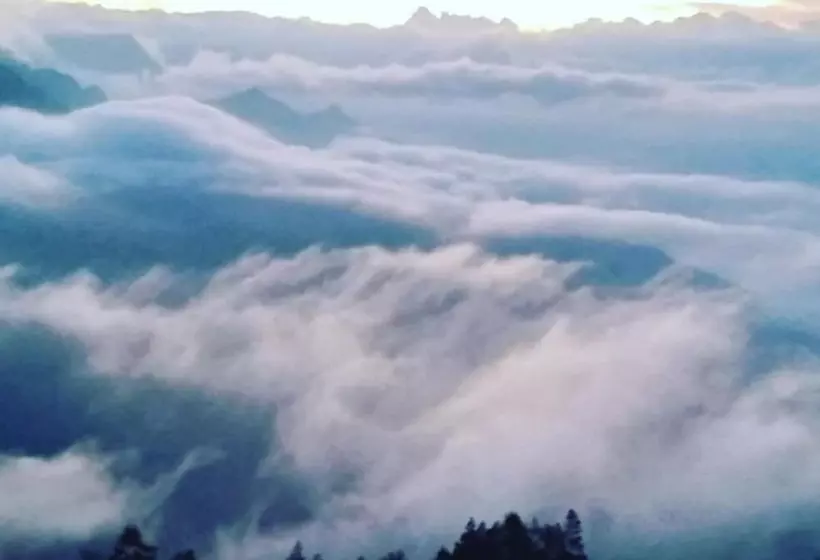 Aamiaismajoitus (B&B) Munnar Jungle Camp