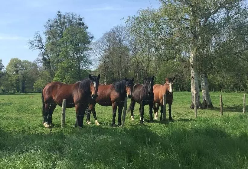 Aamiaismajoitus (B&B) Rêves De Gamins