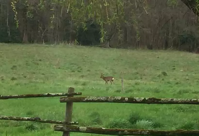 Aamiaismajoitus (B&B) Rêves De Gamins