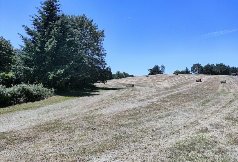 مبيت وإفطار Rêves De Gamins