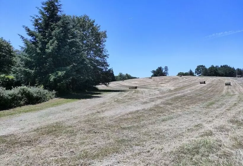 Aamiaismajoitus (B&B) Rêves De Gamins