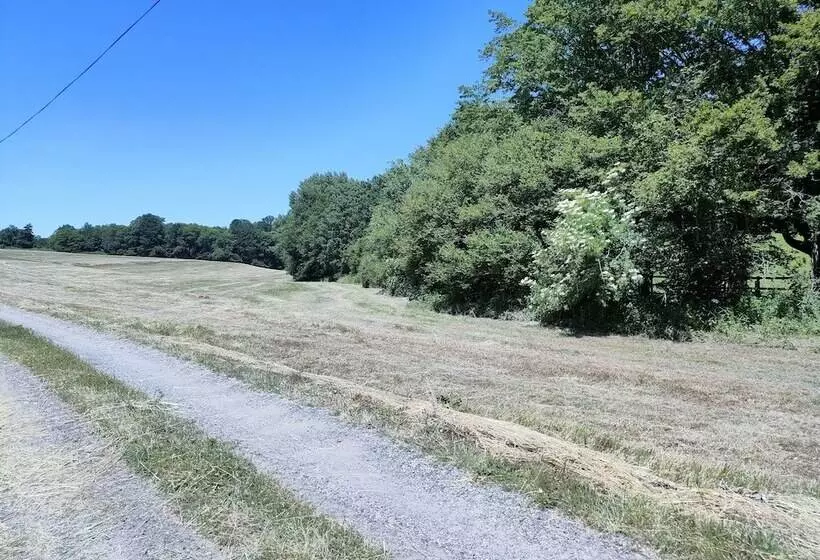 Aamiaismajoitus (B&B) Rêves De Gamins