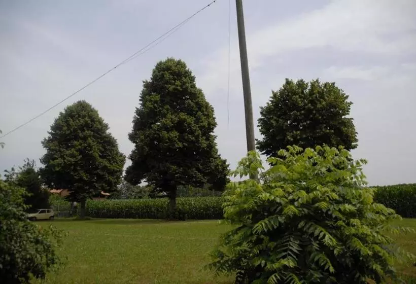 Aamiaismajoitus (B&B) Spighe Paglia E Girasole