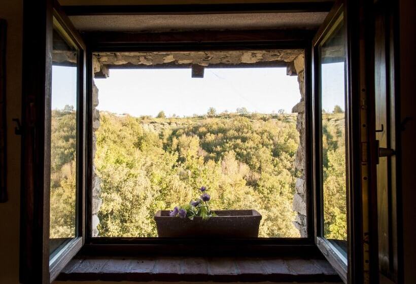 住宿加早餐 Villa De Luccheri