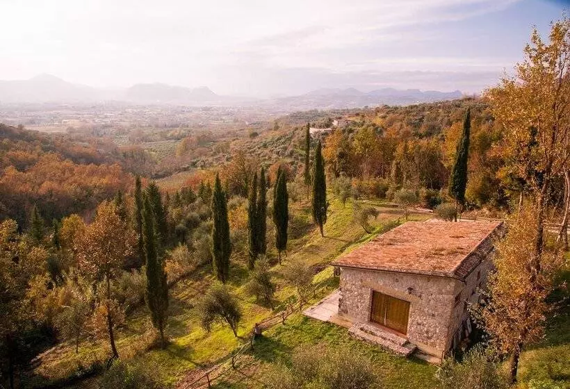 ベッドアンドブレックファースト Villa De Luccheri