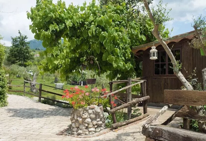 ベッドアンドブレックファースト Villa De Luccheri