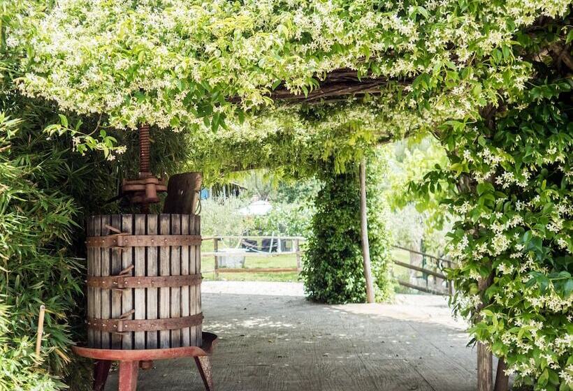 住宿加早餐 Villa De Luccheri