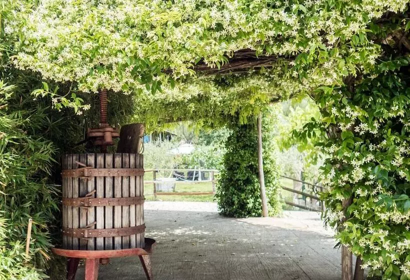 ベッドアンドブレックファースト Villa De Luccheri