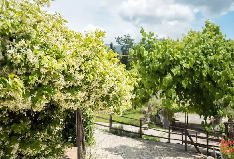 ベッドアンドブレックファースト Villa De Luccheri