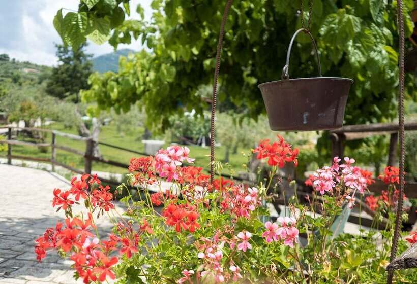 住宿加早餐 Villa De Luccheri