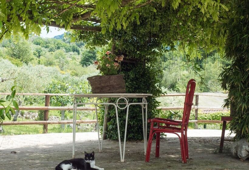 住宿加早餐 Villa De Luccheri