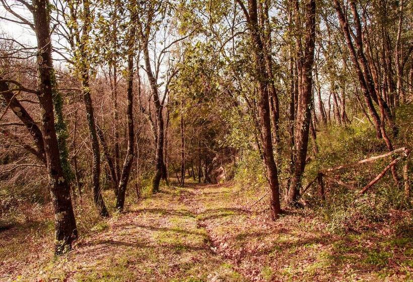 住宿加早餐 Villa De Luccheri