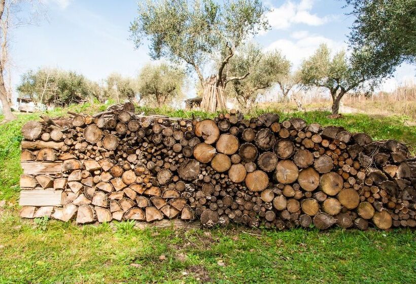 住宿加早餐 Villa De Luccheri