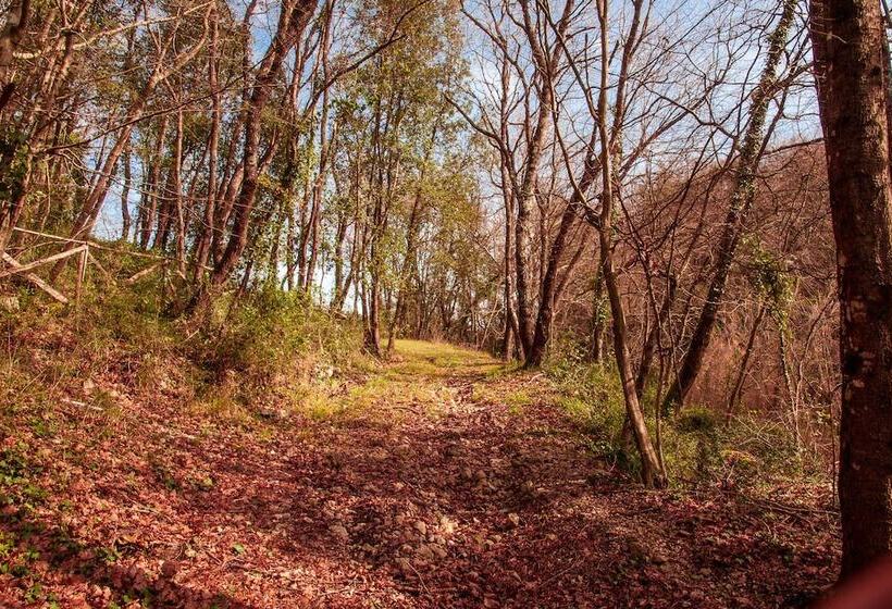 住宿加早餐 Villa De Luccheri