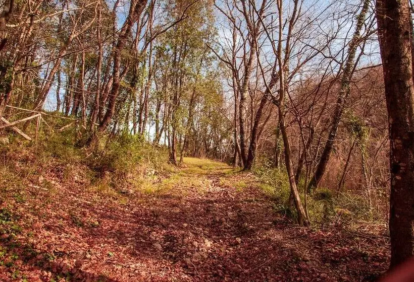 ベッドアンドブレックファースト Villa De Luccheri