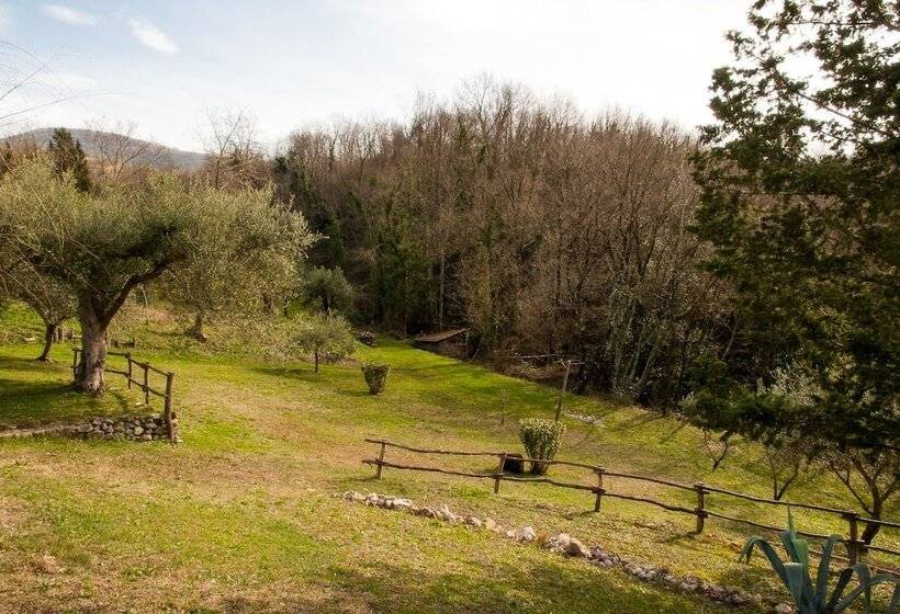 住宿加早餐 Villa De Luccheri