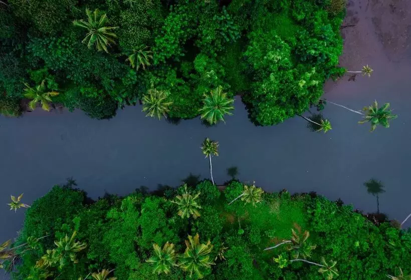Hotelli Cranganor History Cafe Riverside Chateau