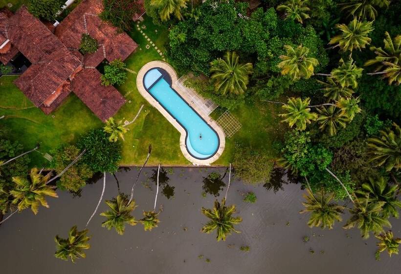 בית מלון כפרי Cranganor History Cafe Riverside Chateau