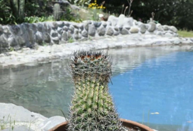 فندق El Cielo Lodge