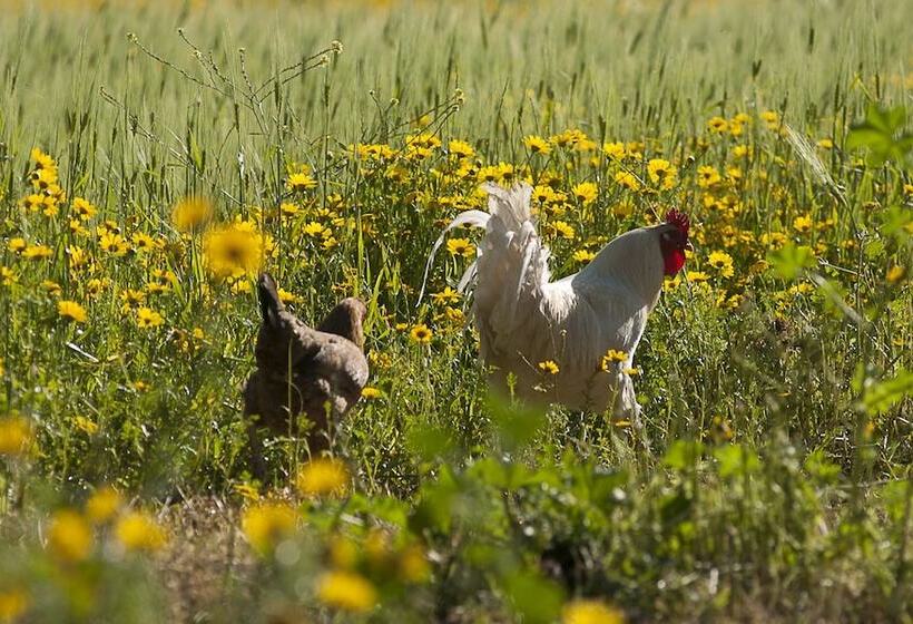 فندق Gite Du Pêcheur Haouaria