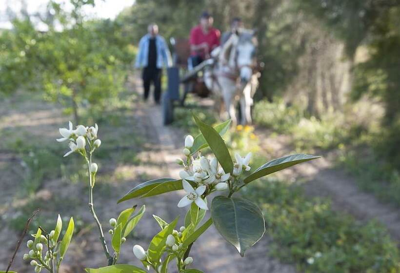 فندق Gite Du Pêcheur Haouaria