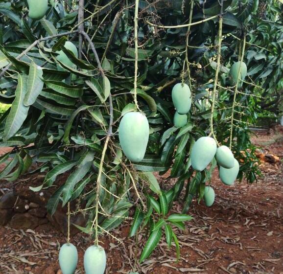 فندق Megh Malhar Agro Tourism