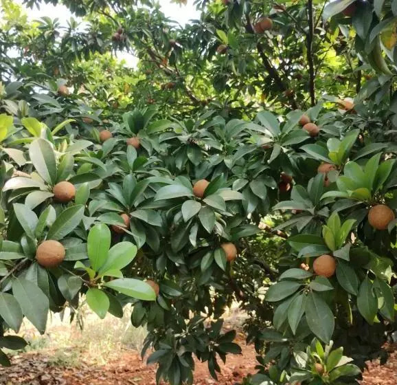 Hotelli Megh Malhar Agro Tourism