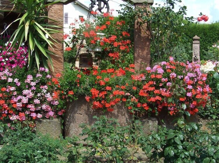 بنسيون Chambre D Hôtes Au Vigneron
