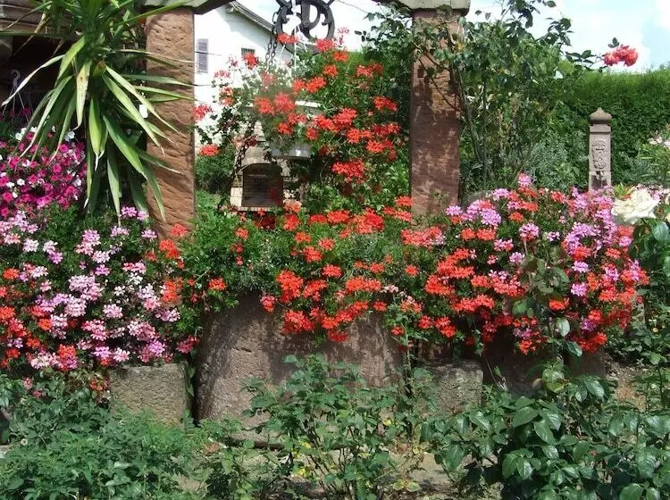 Majatalo Chambre D Hôtes Au Vigneron