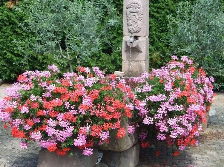 Majatalo Chambre D Hôtes Au Vigneron
