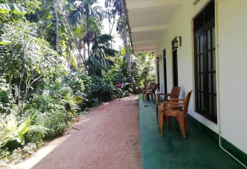 بنسيون Jungle Guest Mirissa