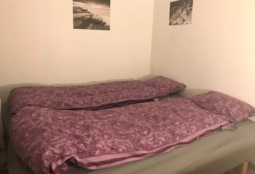 Majatalo Nordic Borealis House