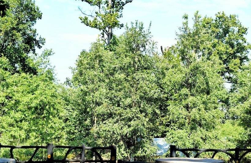 Royal Bamhni Holiday Resort