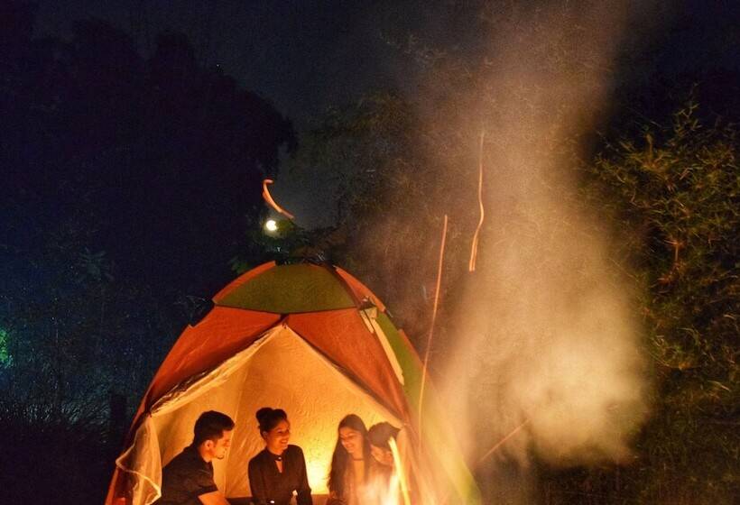 Royal Bamhni Holiday Resort