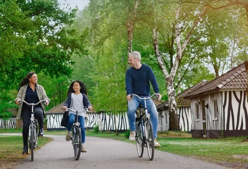 Lake Resort Beekse Bergen