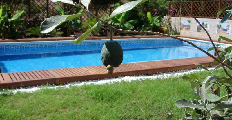 Apartamentos Costamar