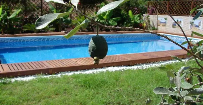 Apartamentos Costamar