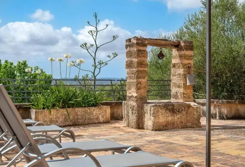 Отель Agroturismo Son Siurana